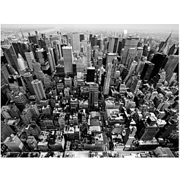 Kuvatapetti Artgeist USA New York: black and white eri kokoja