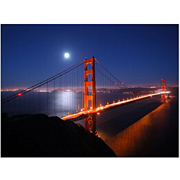 Kuvatapetti Artgeist Golden Gate Bridge yöllä eri kokoja