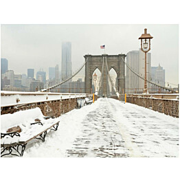 Kuvatapetti Artgeist Lumen peitossa New Yorkissa eri kokoja