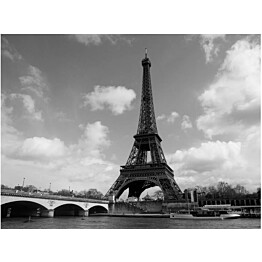 Kuvatapetti Artgeist Seine and Eiffel Tower eri kokoja