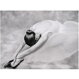 Kuvatapetti Artgeist Photo: ballerina eri kokoja