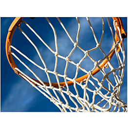 Kuvatapetti Artgeist Sport: basketball eri kokoja