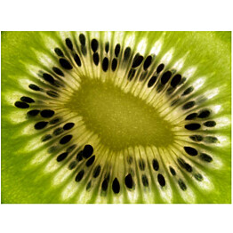 Kuvatapetti Artgeist Fruits: kiwi eri kokoja