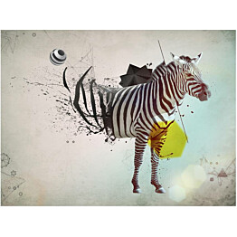 Kuvatapetti Artgeist Abstract Zebra eri kokoja