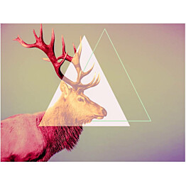 Kuvatapetti Artgeist Deer - graphic pattern eri kokoja