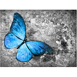 Kuvatapetti Artgeist Blue butterfly eri kokoja