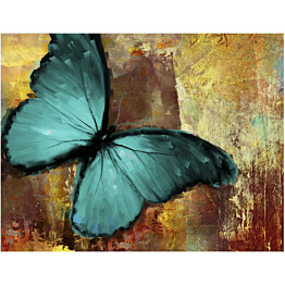 Kuvatapetti Artgeist Painted butterfly eri kokoja