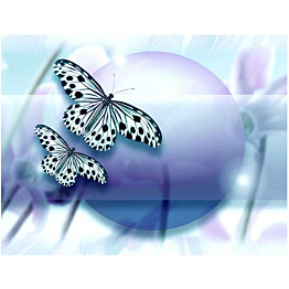 Kuvatapetti Artgeist Planet of butterflies eri kokoja