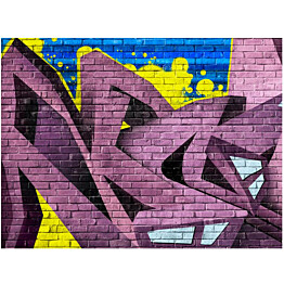 Kuvatapetti Artgeist Street art - graffiti eri kokoja