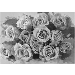 Kuvatapetti Artgeist A dozen roses eri kokoja