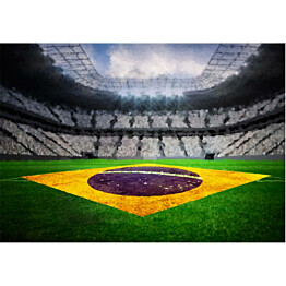Kuvatapetti Artgeist Brazilian stadium eri kokoja