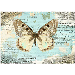 Kuvatapetti Artgeist Postcard with butterfly eri kokoja