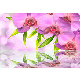 Kuvatapetti Artgeist Orchids in lilac colour eri kokoja