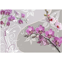 Kuvatapetti Artgeist Flight of purple orchids eri kokoja