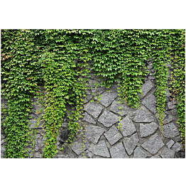 Kuvatapetti Artgeist Green wall eri kokoja