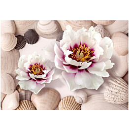 Kuvatapetti Artgeist Flowers and Shells eri kokoja