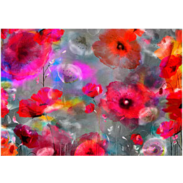 Kuvatapetti Artgeist Painted Poppies eri kokoja