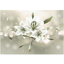 Kuvatapetti Artgeist Lily - Flower of Masters eri kokoja