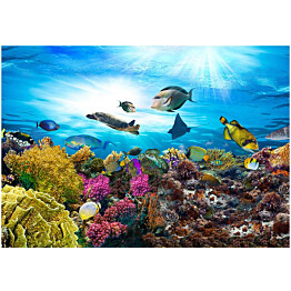Kuvatapetti Artgeist Coral reef eri kokoja