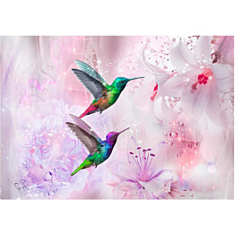 Kuvatapetti Artgeist Colourful Hummingbirds Purple eri kokoja