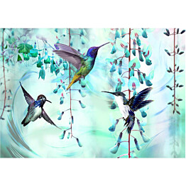 Kuvatapetti Artgeist Flying Hummingbirds Green eri kokoja