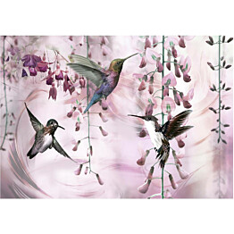 Kuvatapetti Artgeist Flying Hummingbirds Pink eri kokoja