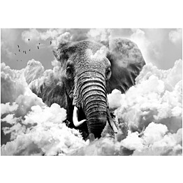 Kuvatapetti Artgeist Elephant in the Clouds Black and White eri kokoja