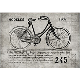 Kuvatapetti Artgeist Vintage Bicycle eri kokoja