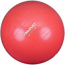 Avento Fitness jumppapallo halkaisija 55 cm pinkki