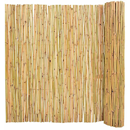 Bambuaita, 300x150cm