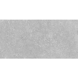 Lattialaatta GoldenTile Stonehenge 30x60 cm harmaa