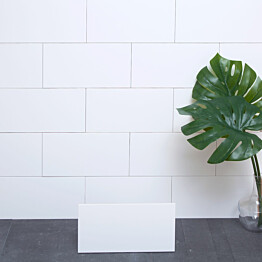 Seinälaatta Arredo Polar 20x40cm, matta, valkoinen