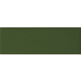 Seinälaatta Arredo Color Botella 10x30cm, kiiltävä, vihreä