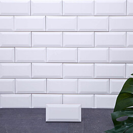 Seinälaatta Arredo Color Biselado 7.5x15cm, matta, valkoinen