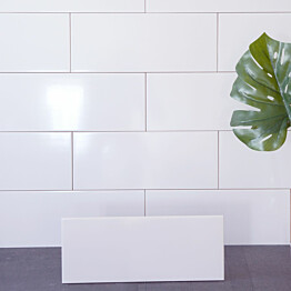 Seinälaatta Arredo Polar 20x50cm, kiiltävä, valkoinen