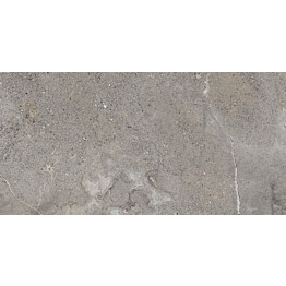 Seinälaatta Pukkila Stone Age Grey, 29.5x59.2cm, matta