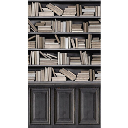 Kuvatapetti One Roll One Motif Bookshelf 1,59x2,80 m non-woven