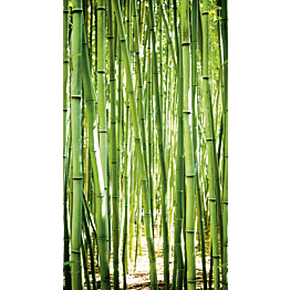 Kuvatapetti One Roll One Motif Bambu 1,59x2,80 m non-woven