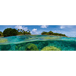 Välitilatarra Dimex Coral Reef 180-350x60cm
