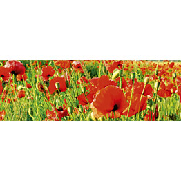 Välitilatarra Dimex Red Poppies 180-350x60cm
