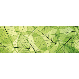 Välitilatarra Dimex Leaf Veins 180-350x60cm