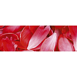 Välitilatarra Dimex Red Petals 180-350x60cm