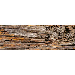 Välitilatarra Dimex Tree Bark 180-350x60cm