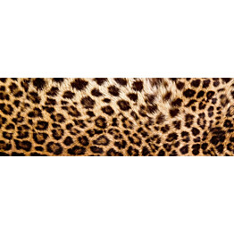 Välitilatarra Dimex Leopard Skin 180-350x60cm