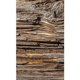 Kuvatapetti Dimex  Tree Bark 150 x 250 cm