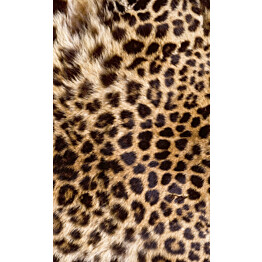 Kuvatapetti Dimex  Leopard Skin 150 x 250 cm