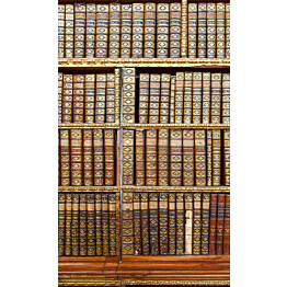 Kuvatapetti Dimex  Library  150 x 250 cm