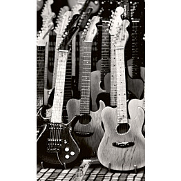 Kuvatapetti Dimex  Guitars Collection 150 x 250 cm