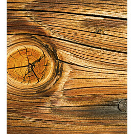 Kuvatapetti Dimex  Wood Knot 225 x 250 cm
