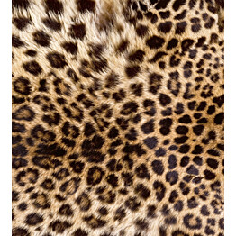 Kuvatapetti Dimex  Leopard Skin 225 x 250 cm